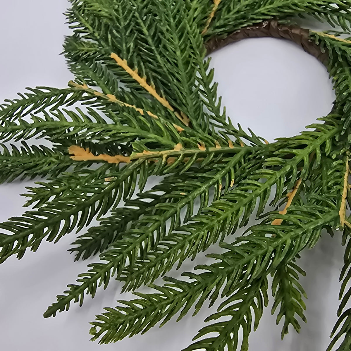 10&quot; Norfolk Pine Candlering/ Mini Wreath--#xdw317