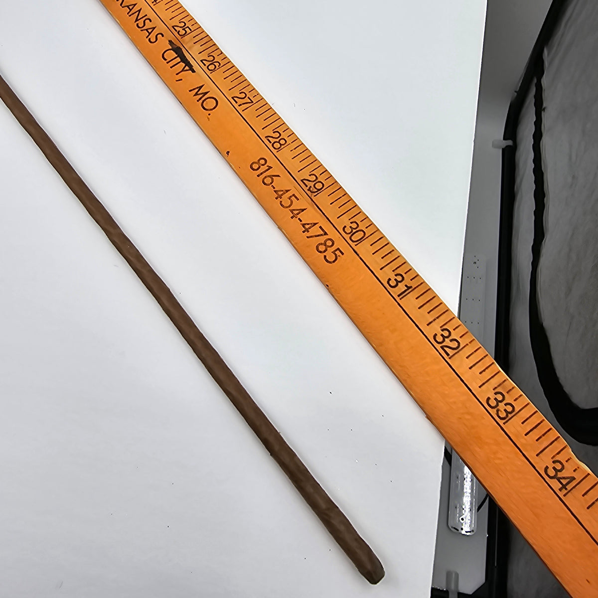 31&quot; Magnolia Leaf/Pod--#psm031