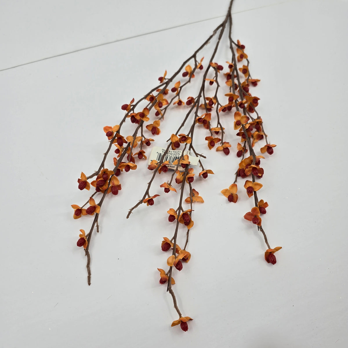 32&quot; Bittersweet--#gtb780