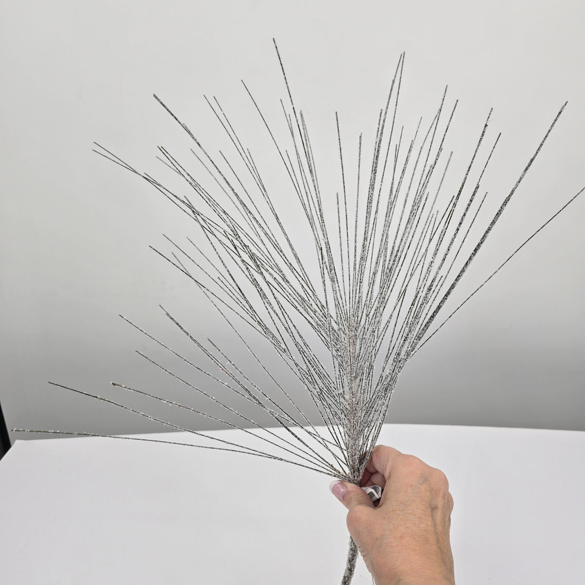 18&quot; Snowy Lng Needle Pine Spry #ysd522