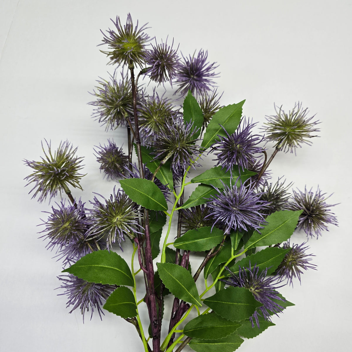 18" Globe Thistle Bundle #Fbt913
