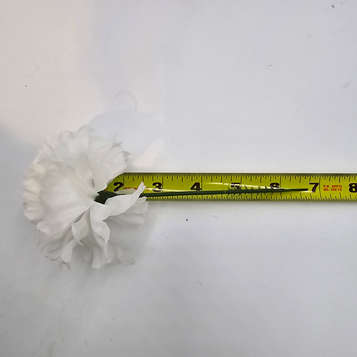 Carnation--#kart7314