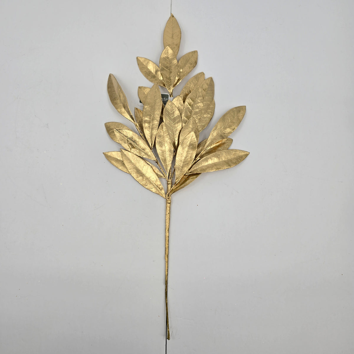 19&quot;BAY LEAF SPRY-#xdz385