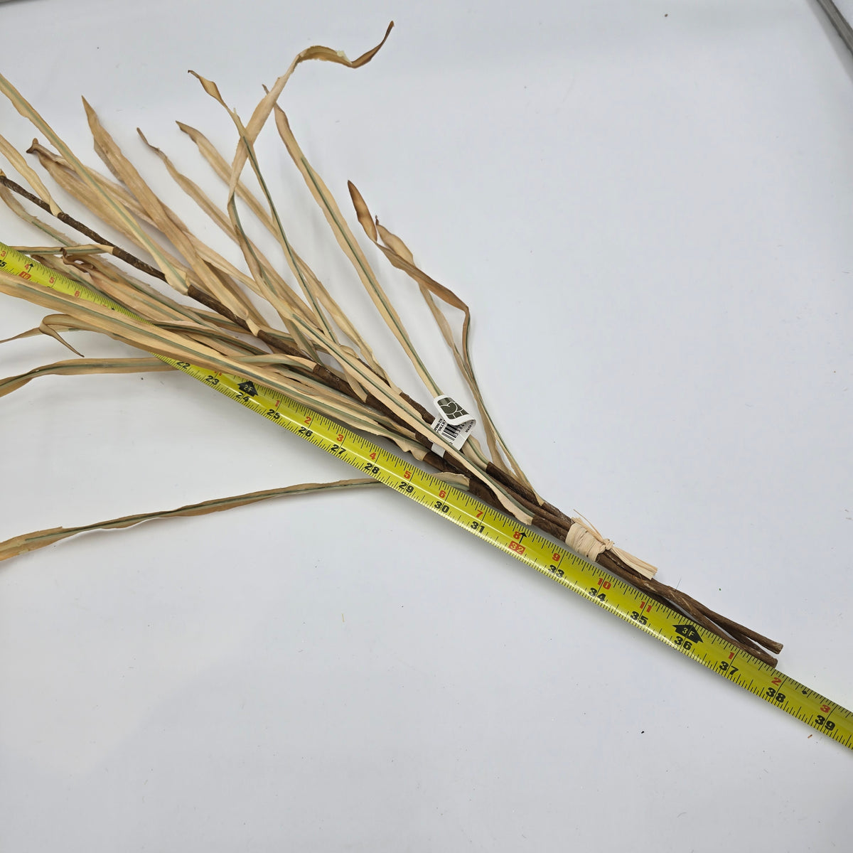 39&quot; Dried Corn/Foxtail Lf Bundle--#pbf880