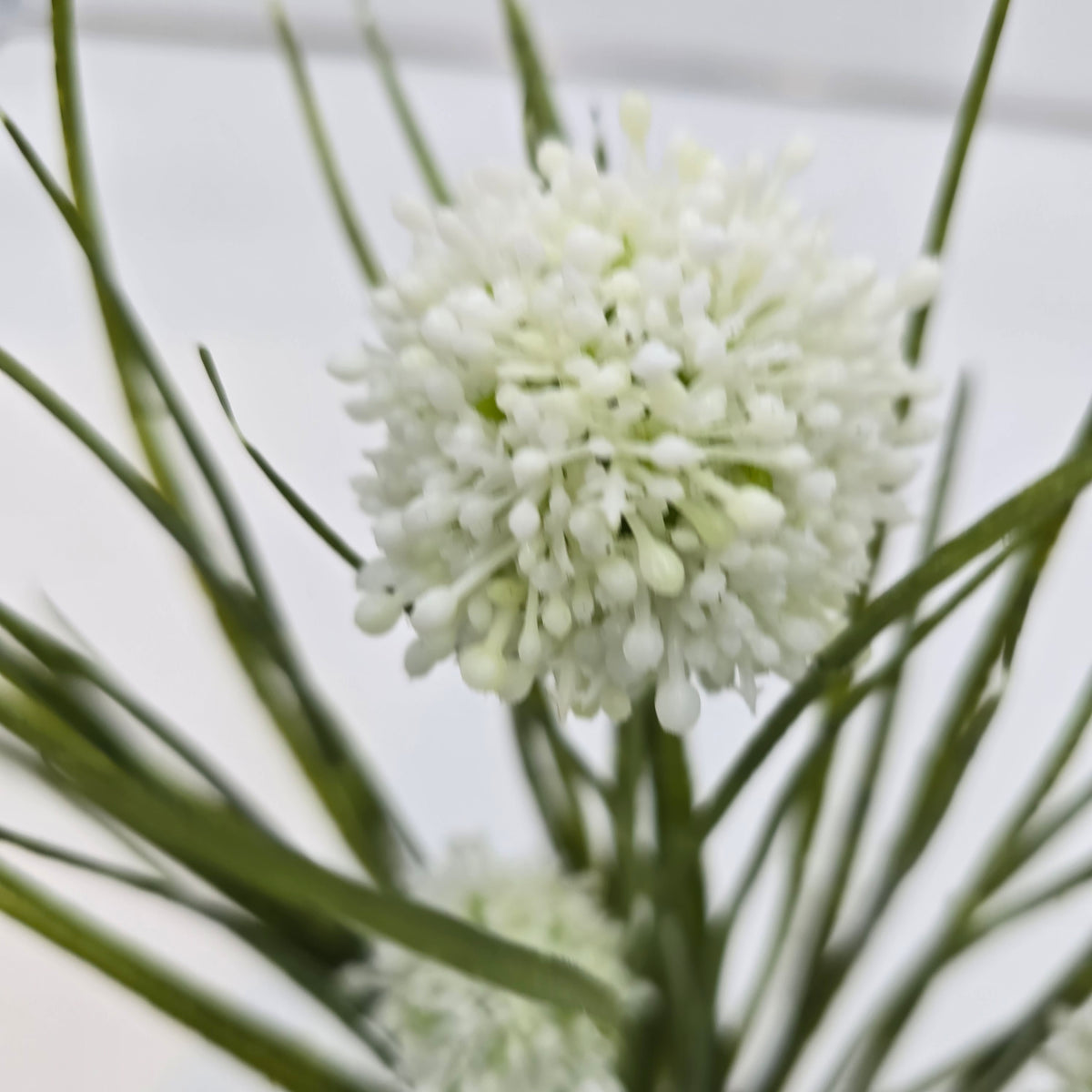18&quot;ALLIUM BUSH--FBA181