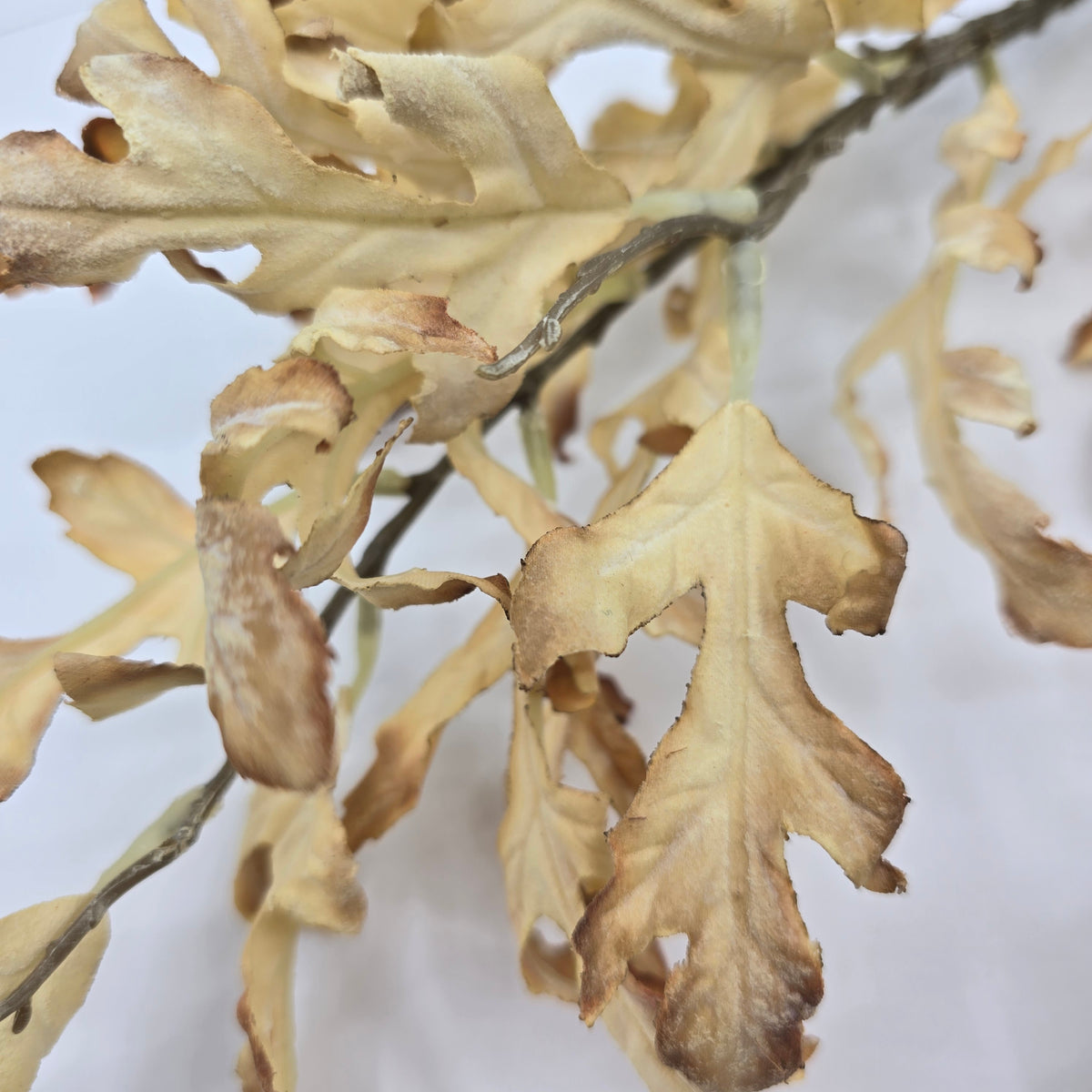 32&quot; Dried Oakleaf Spray-#pso888