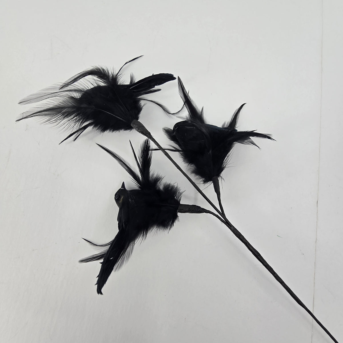 18&quot; Crow/Feather Spray x3--#afs502