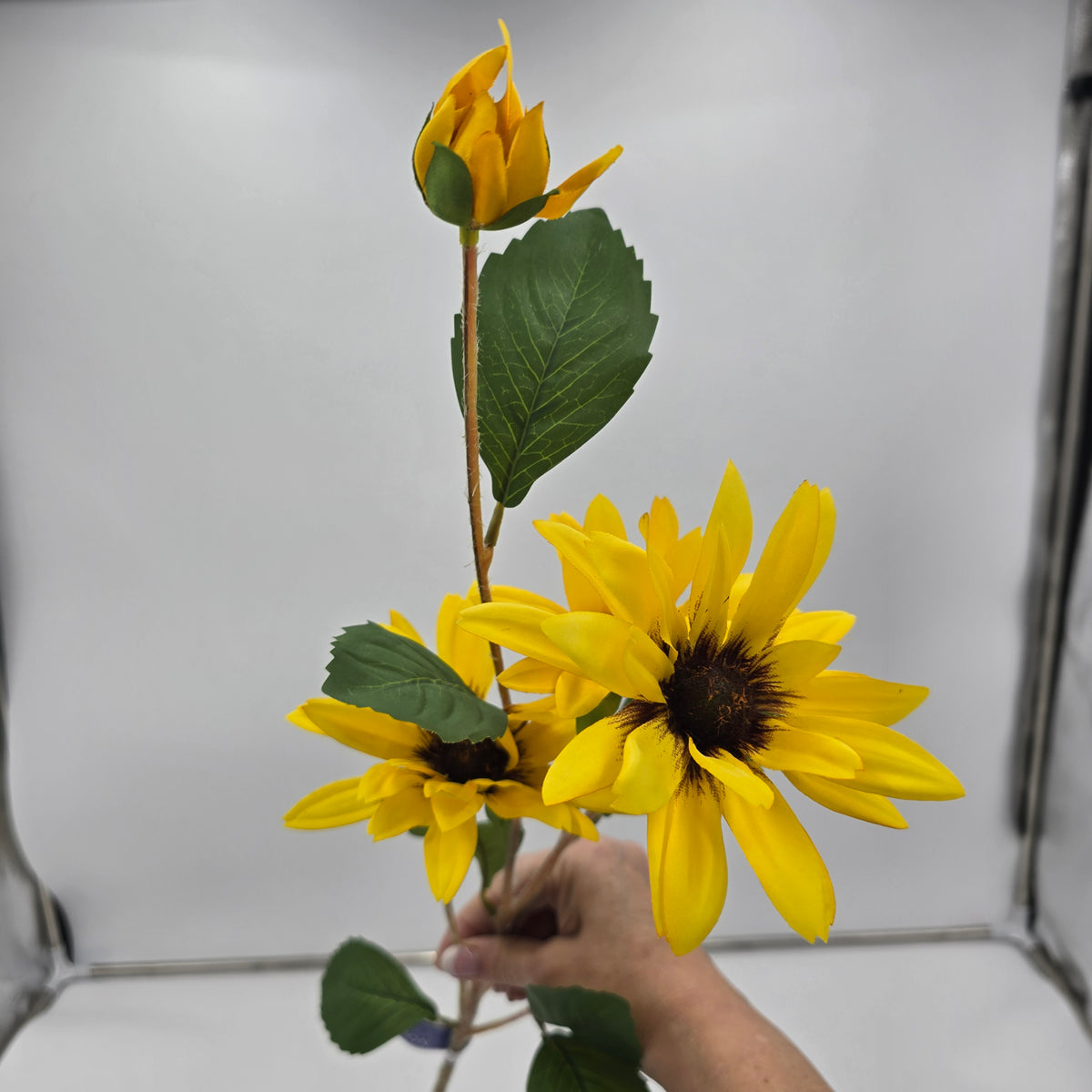 32&quot; Daisy Spray--#fsd420