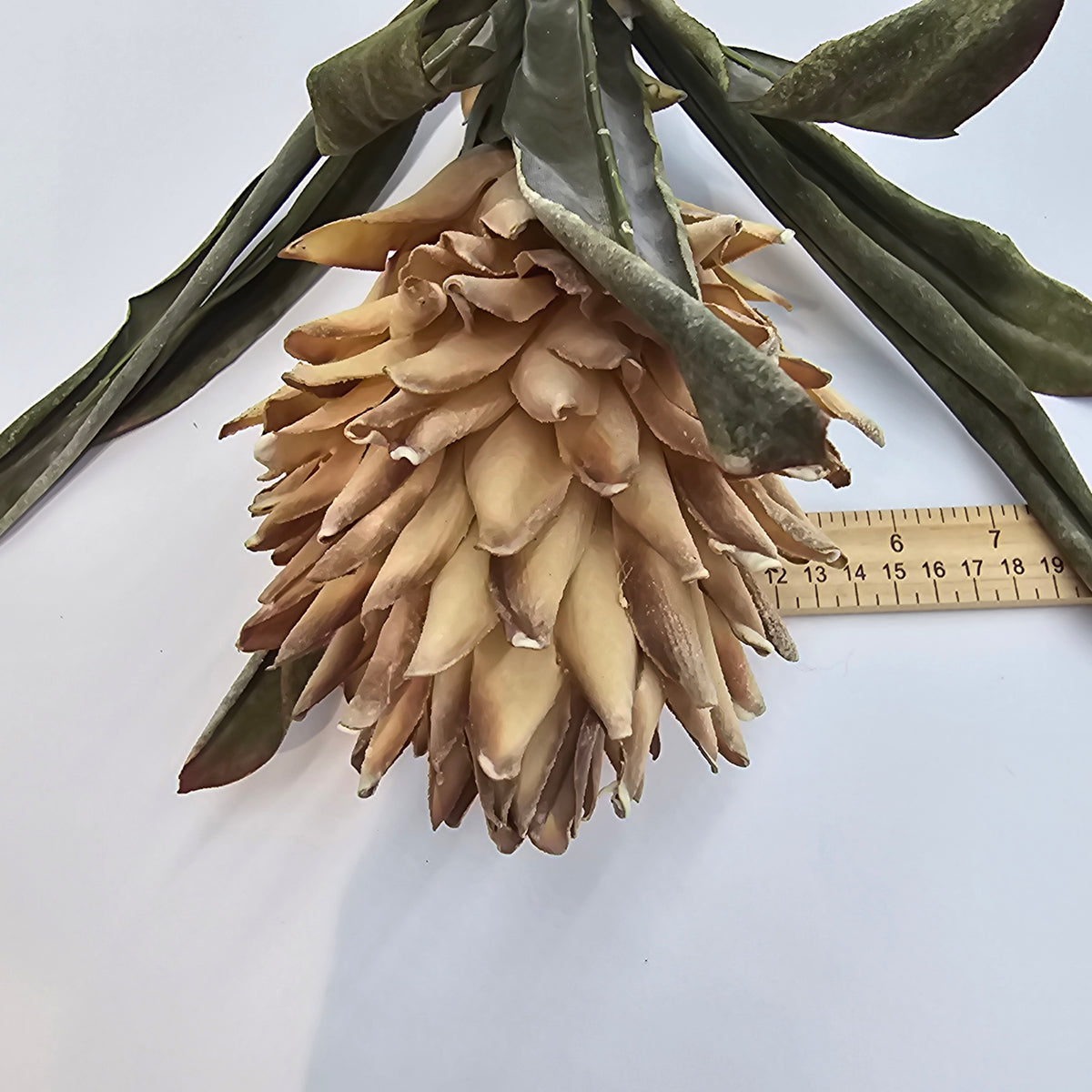 17&quot; Hot Poker--#fsp107