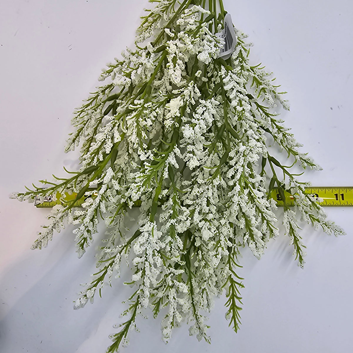 Astilbe Bush--fba256