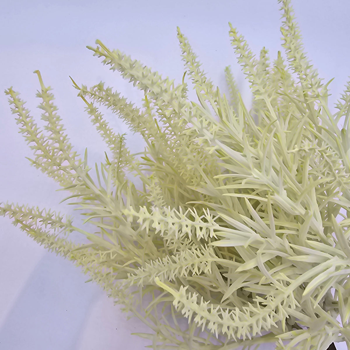 Astilbe Bundle-9&quot; #fbq152