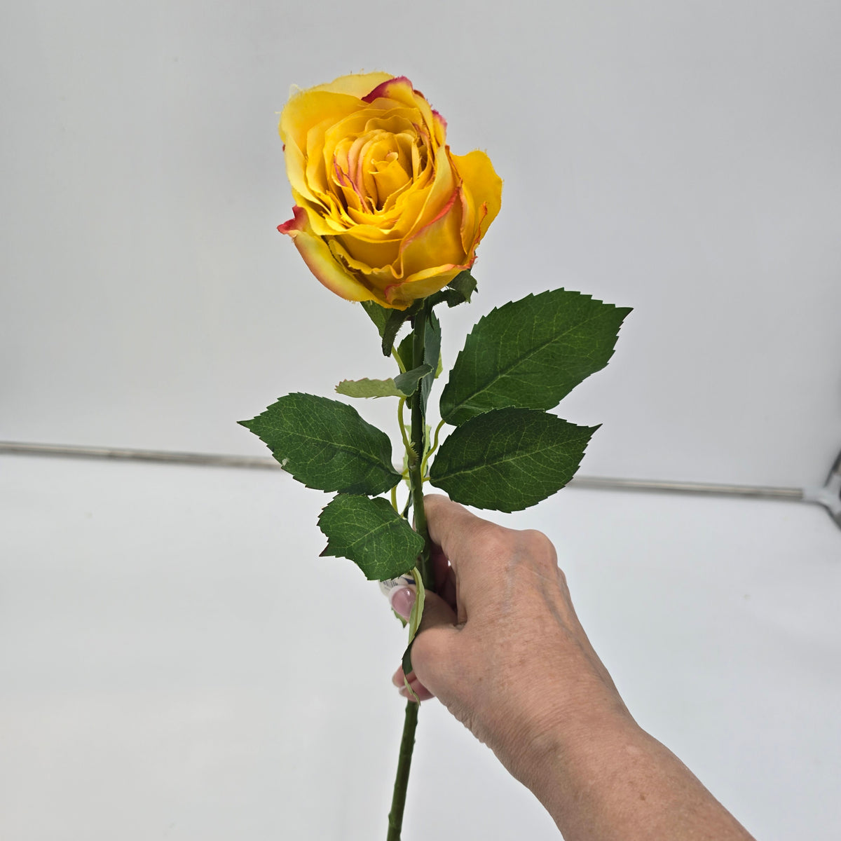 Cottage Rose Bud--#fsr149