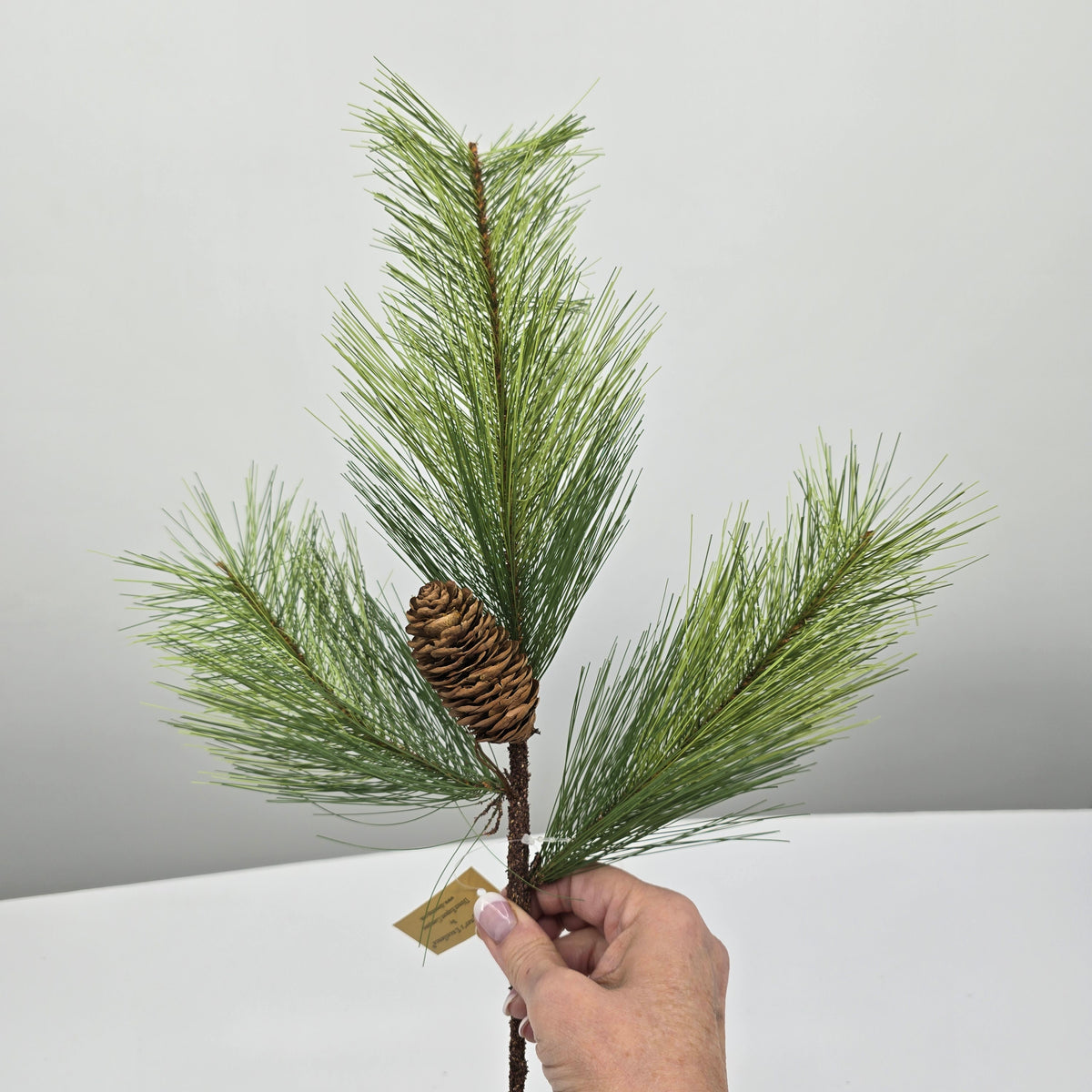 Lg Pine/Cone Spry #204369