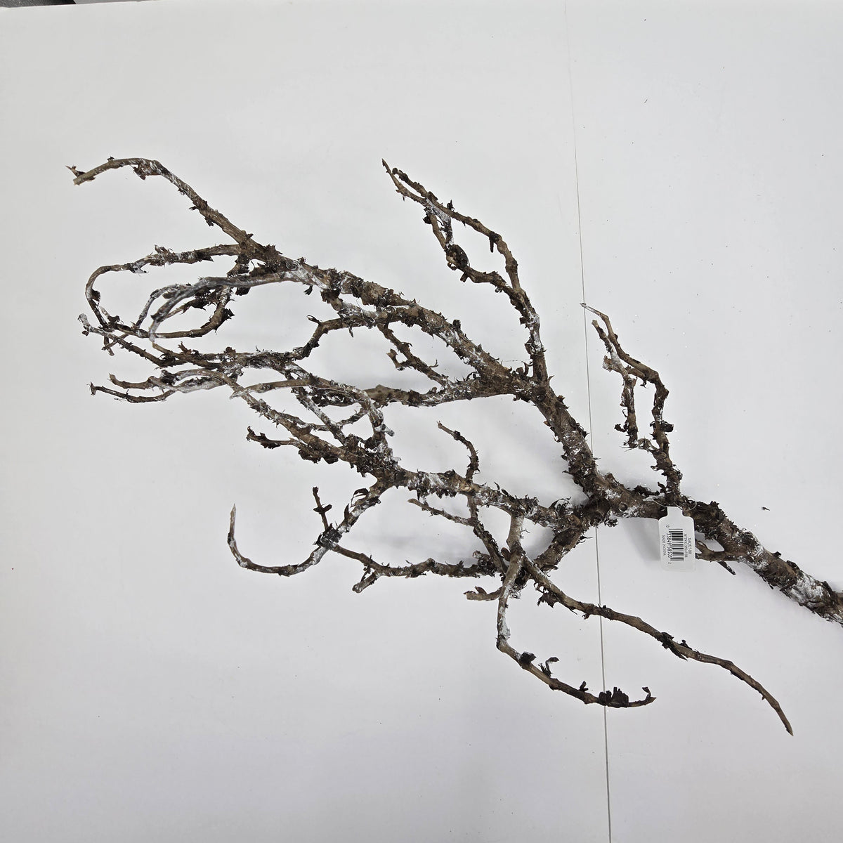 36&quot; Twig Spray--#Xaq527