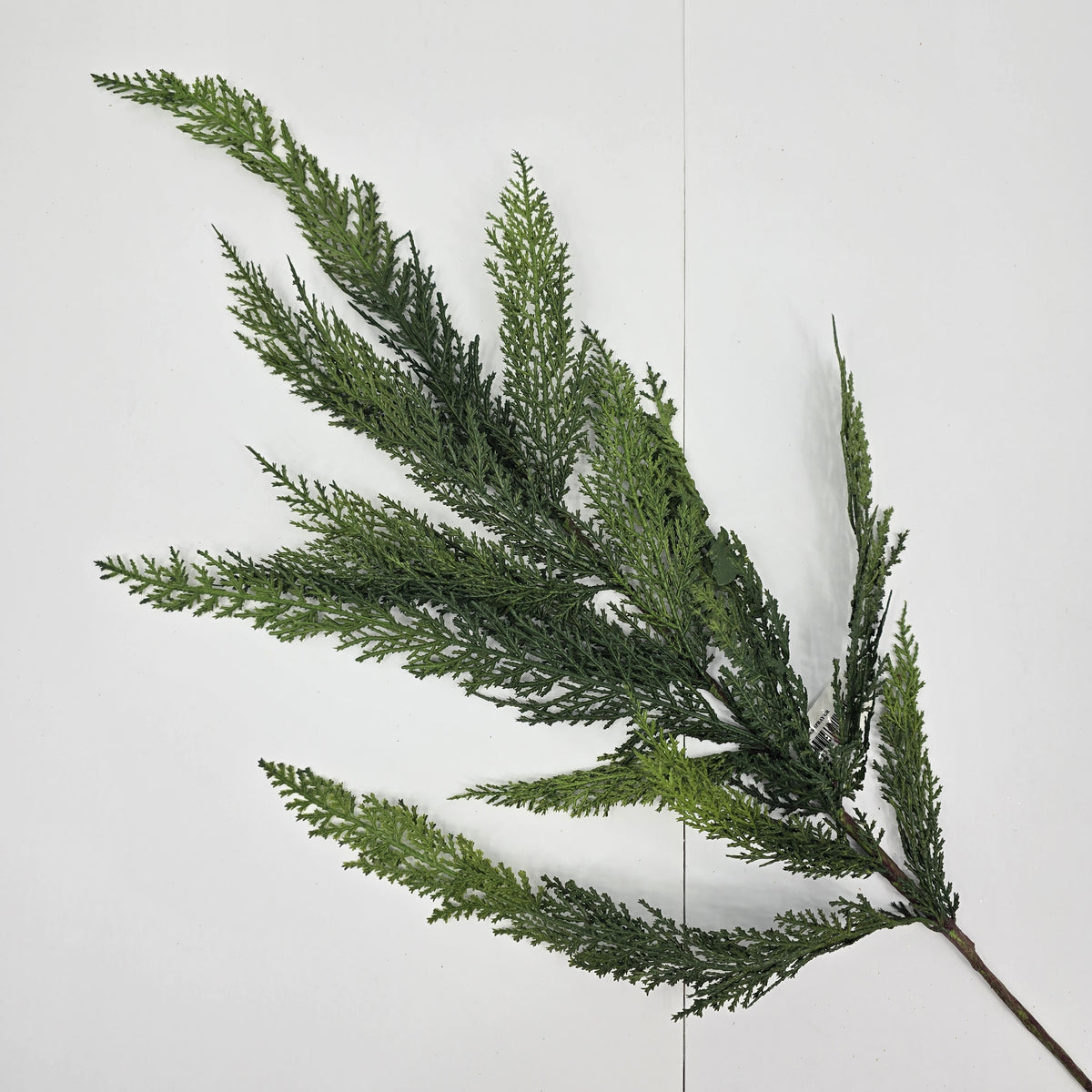 40&quot; Cedar Spry-#ysc409