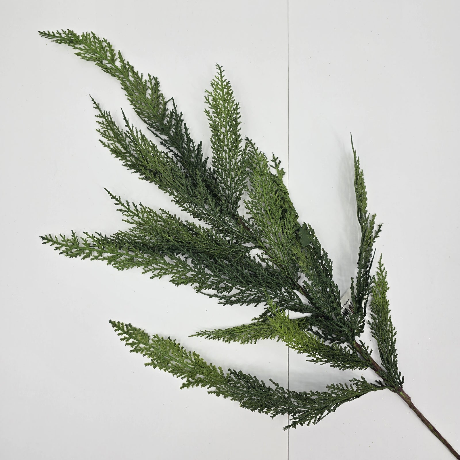 40" Cedar Spry-#ysc409