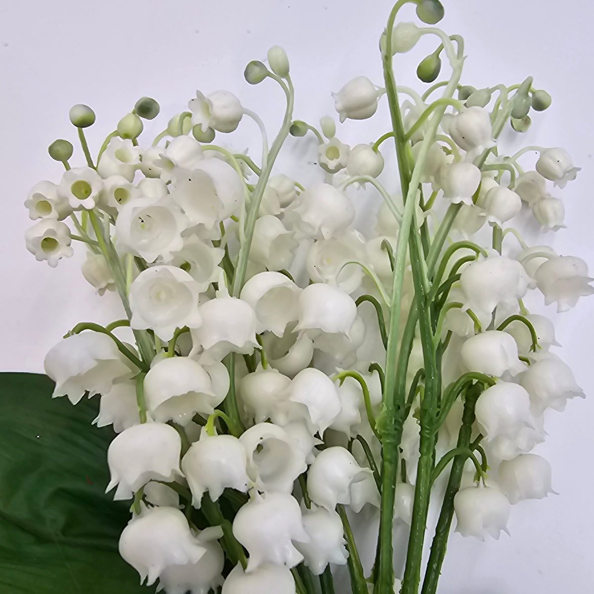 Lily of the Valley Bunch--#fbq140