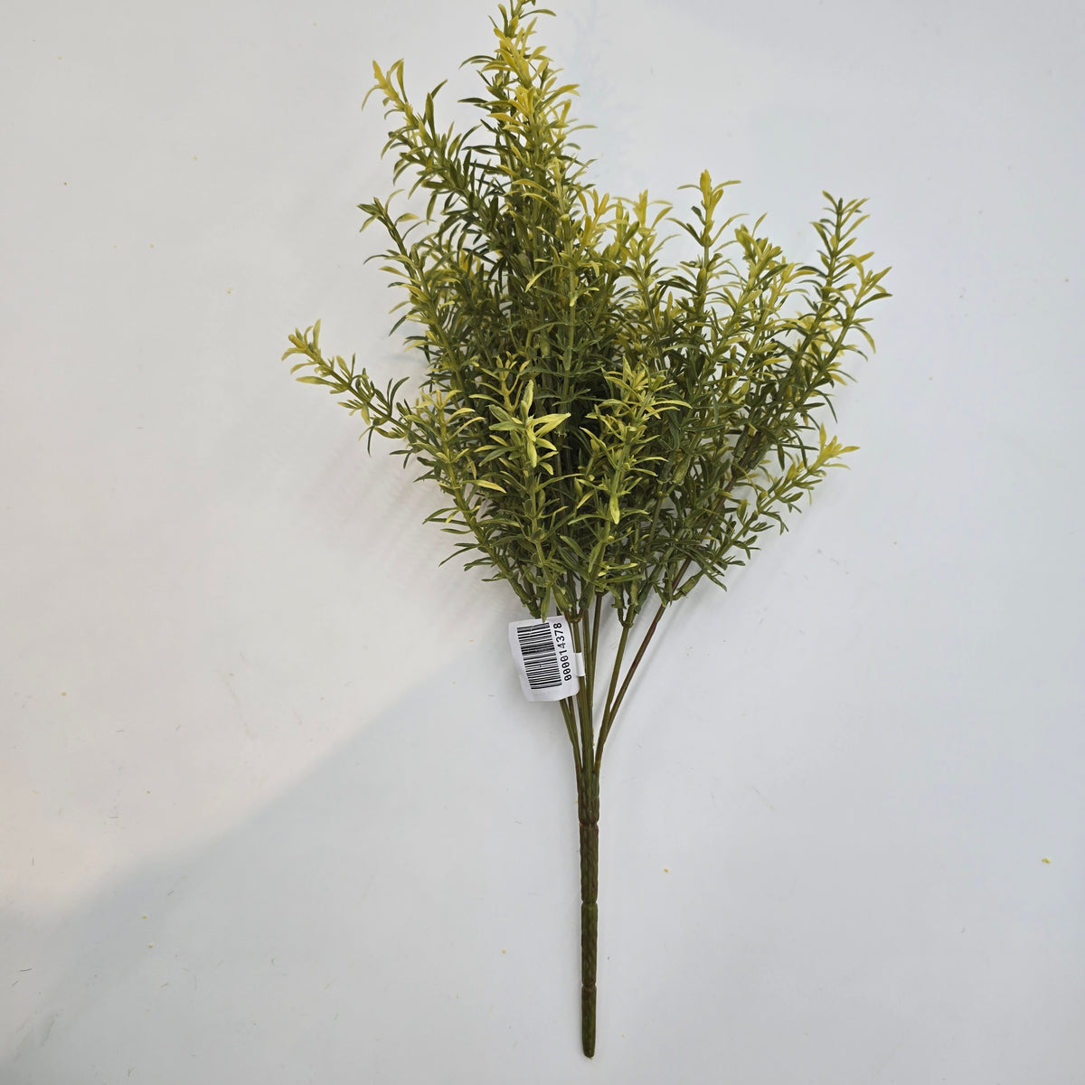 16&quot; Tea Leaf Bush--#pbt022