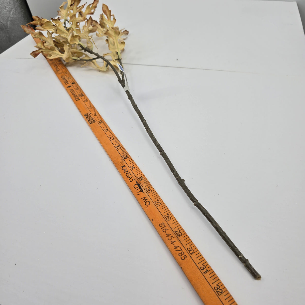 32&quot; Dried Oakleaf Spray-#pso888