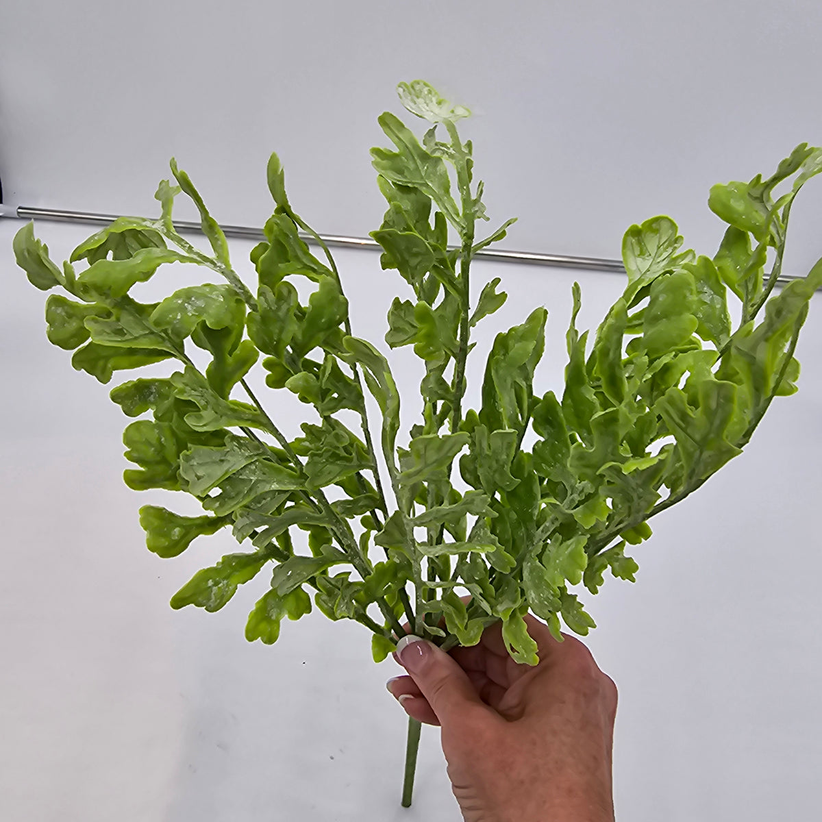 17&quot;MILLER FERN--pbf166-gr