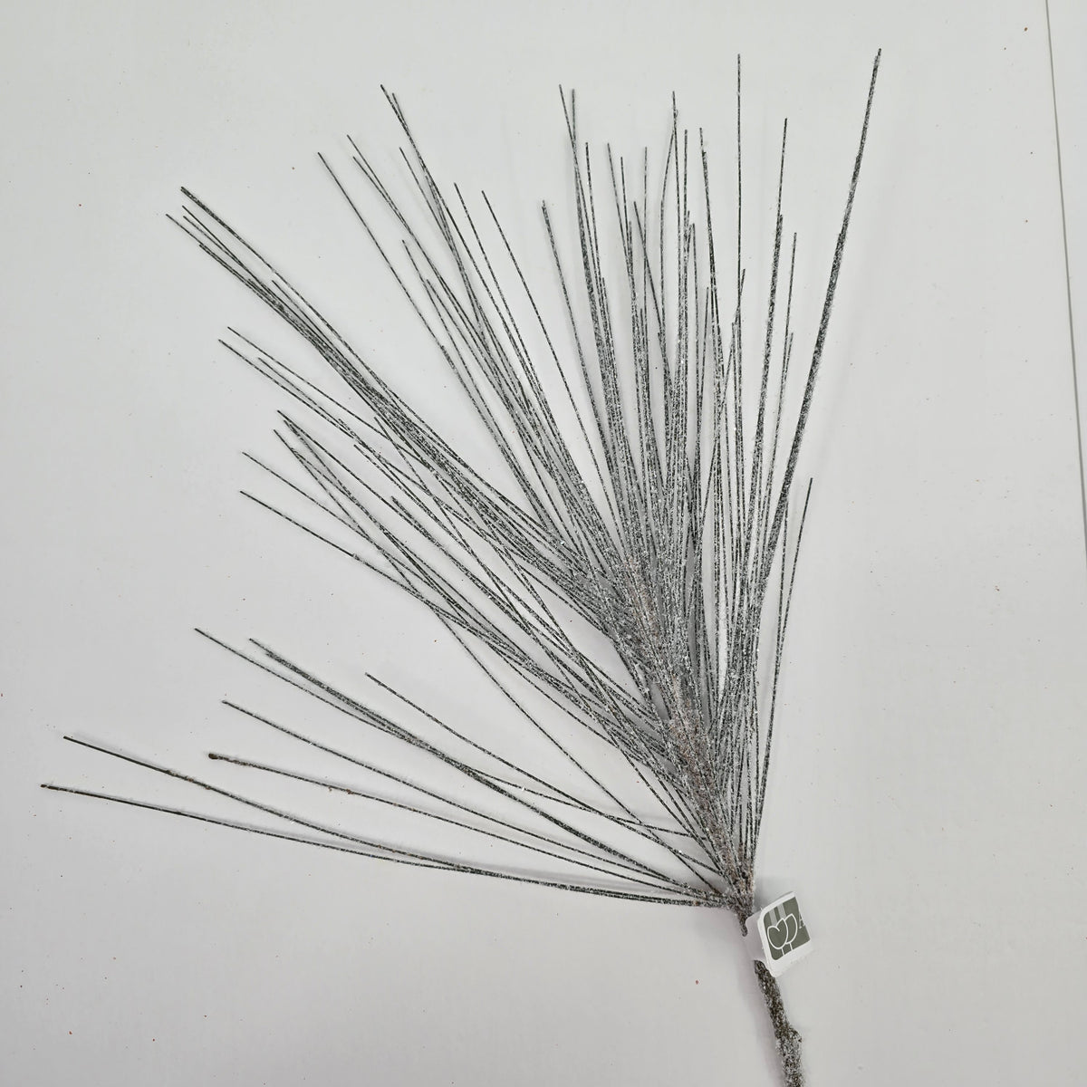 18&quot; Snowy Lng Needle Pine Spry #ysd522