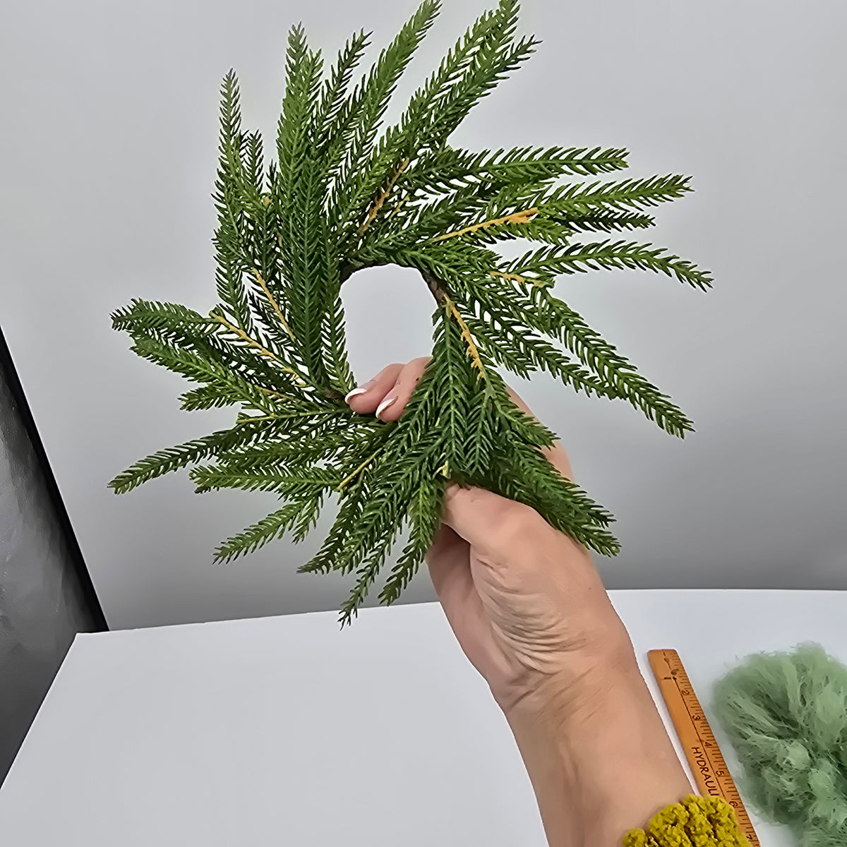 10&quot; Norfolk Pine Candlering/ Mini Wreath--#xdw317
