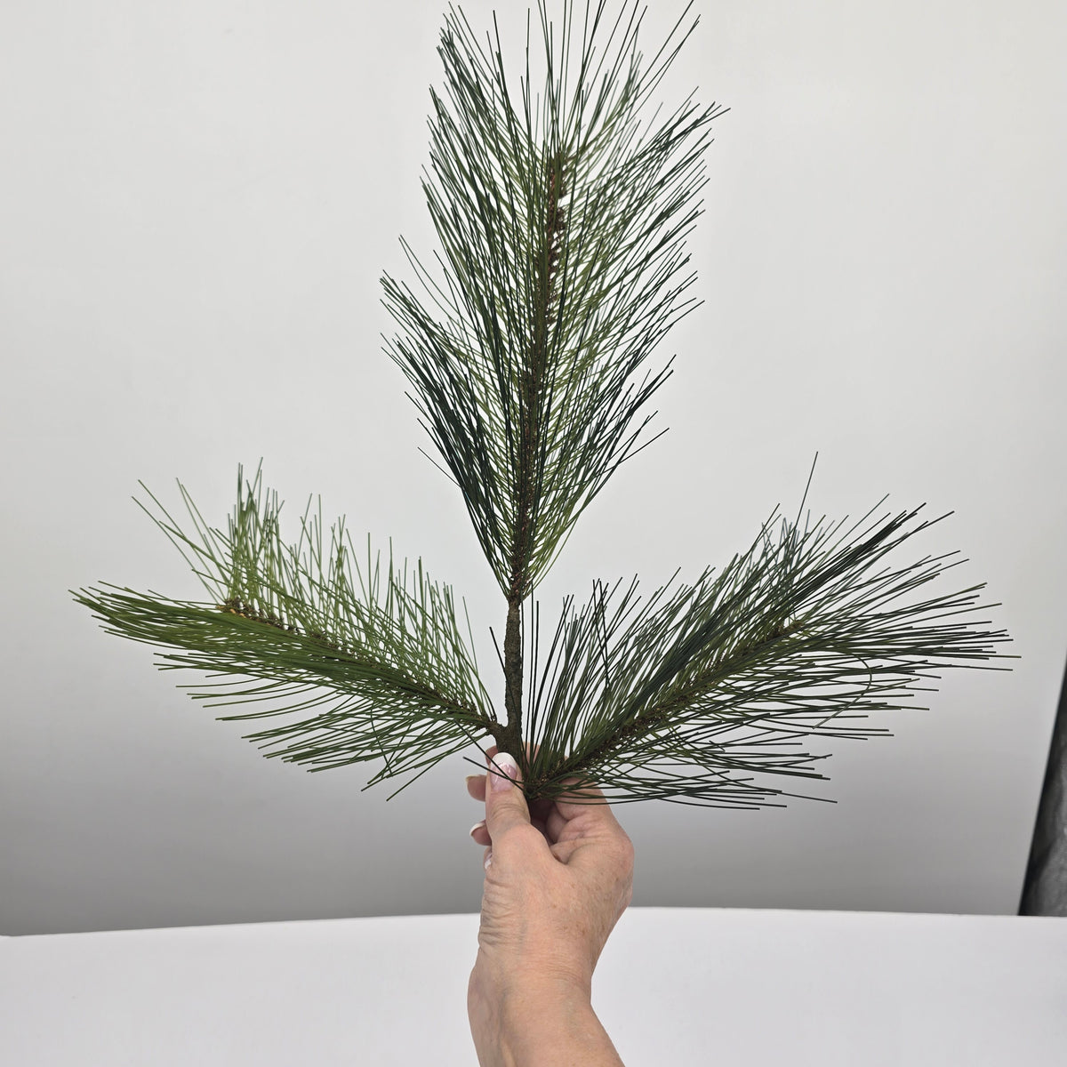 30&quot; Long Needle Pine Spray--#ysp302