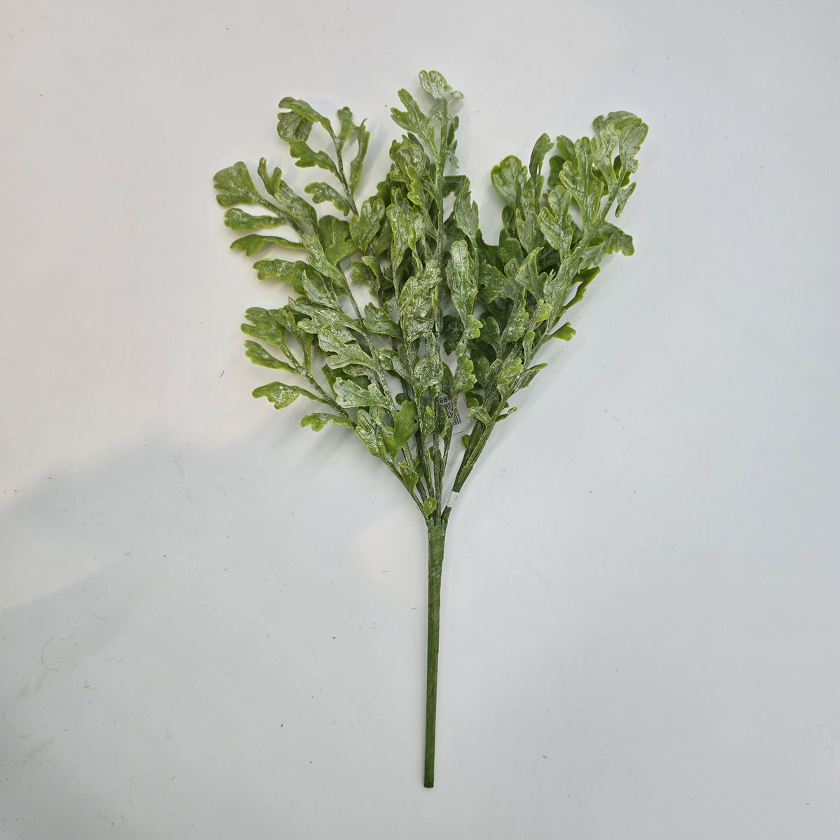 17&quot;MILLER FERN--pbf166-gr