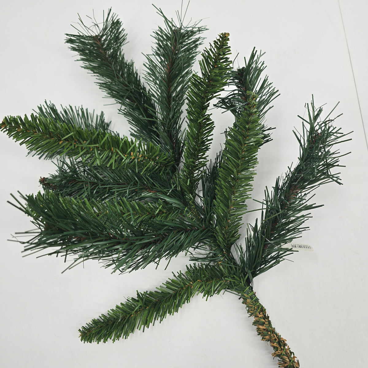 20&quot; Princess Pine