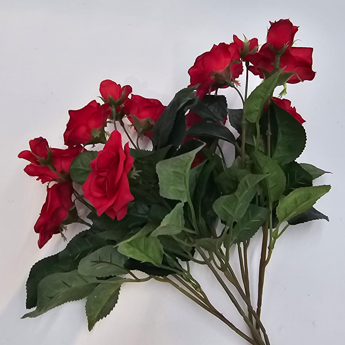 15&quot;ROSE BUSH--fbr103