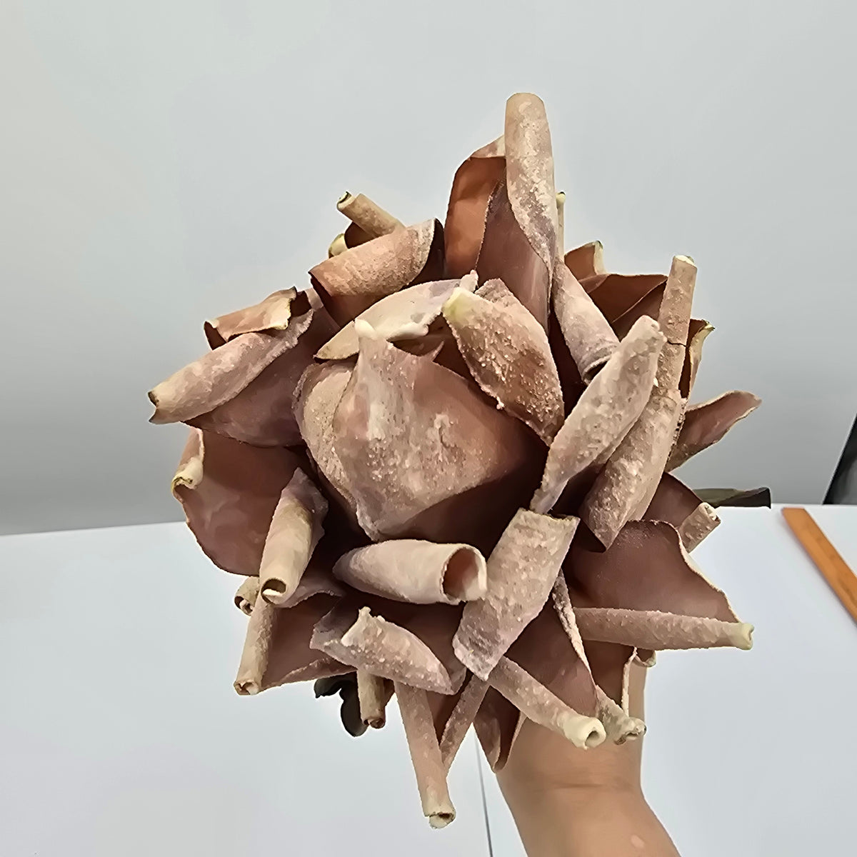 Red Hot Poker #fsp109