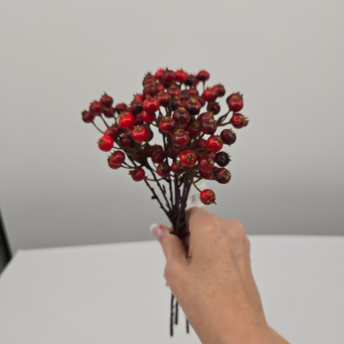 11.5&quot; Huckleberry Berry Bundle/3--#xbs870