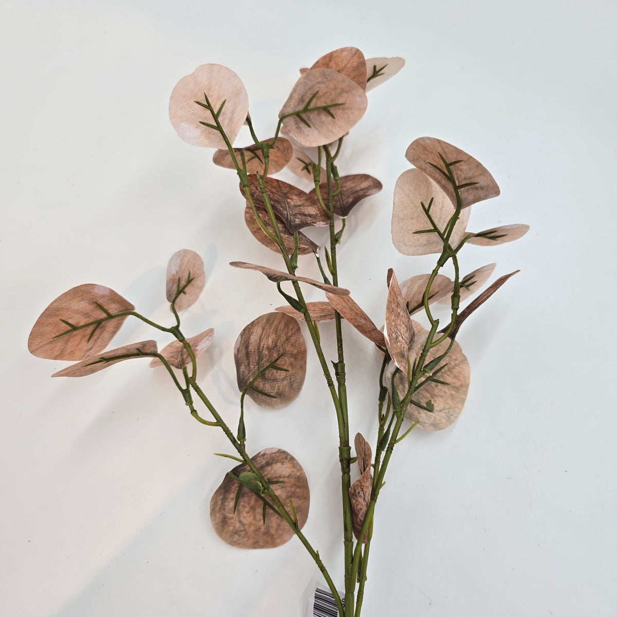 25&quot; Smoketree Lf--#pss821