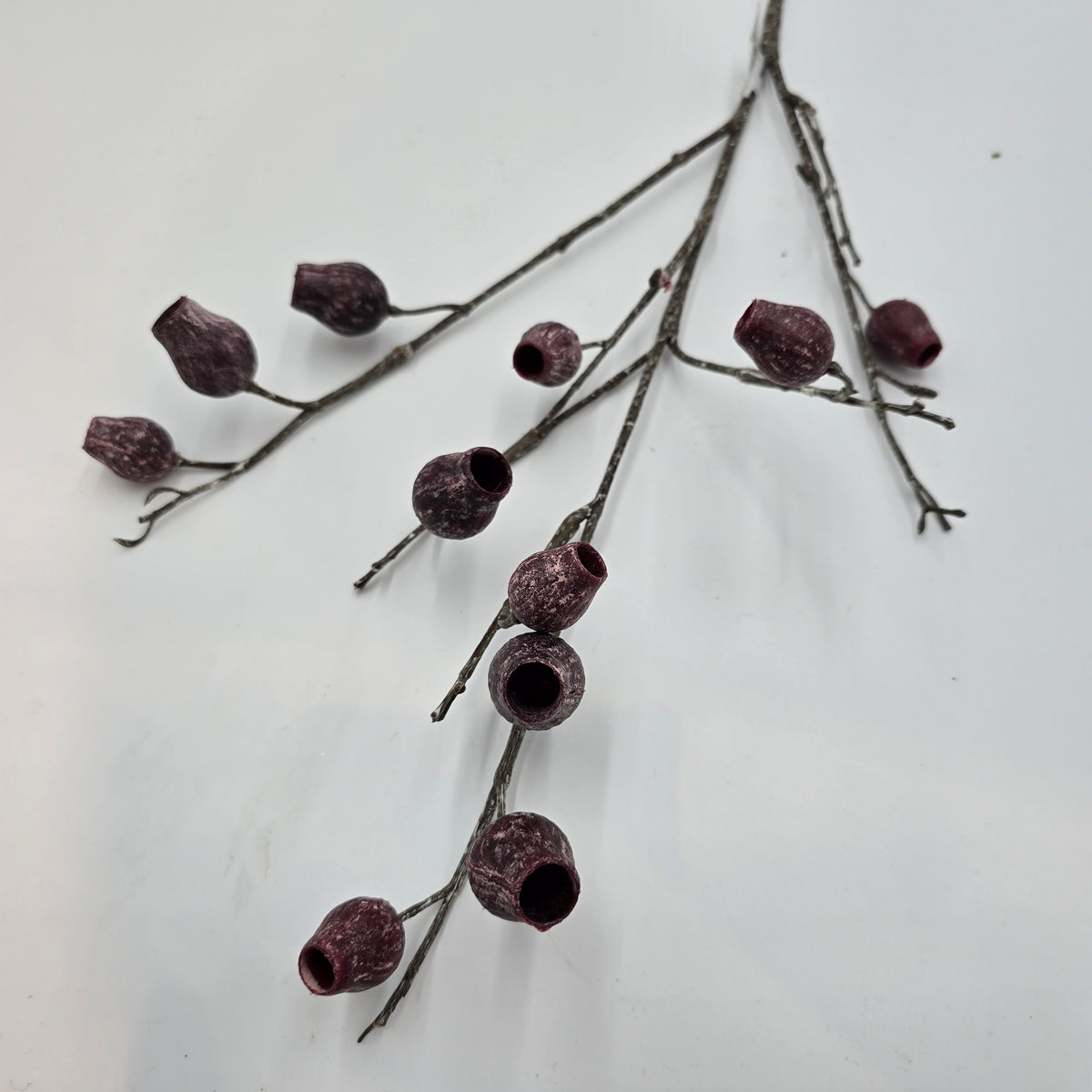 Eucalyptus Pod-34&quot; #fsp001