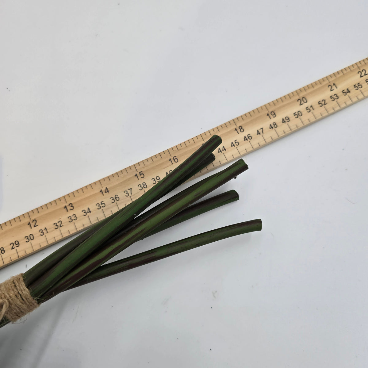 Magnolia Leaf Bundle