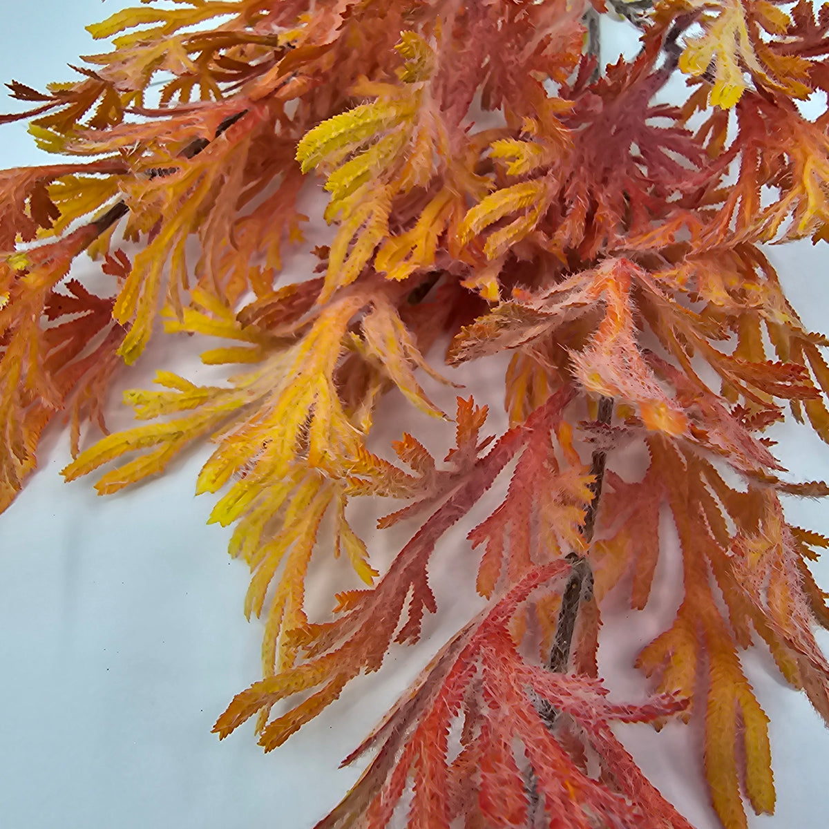 31&quot; Oakleaf Fern--#psf710