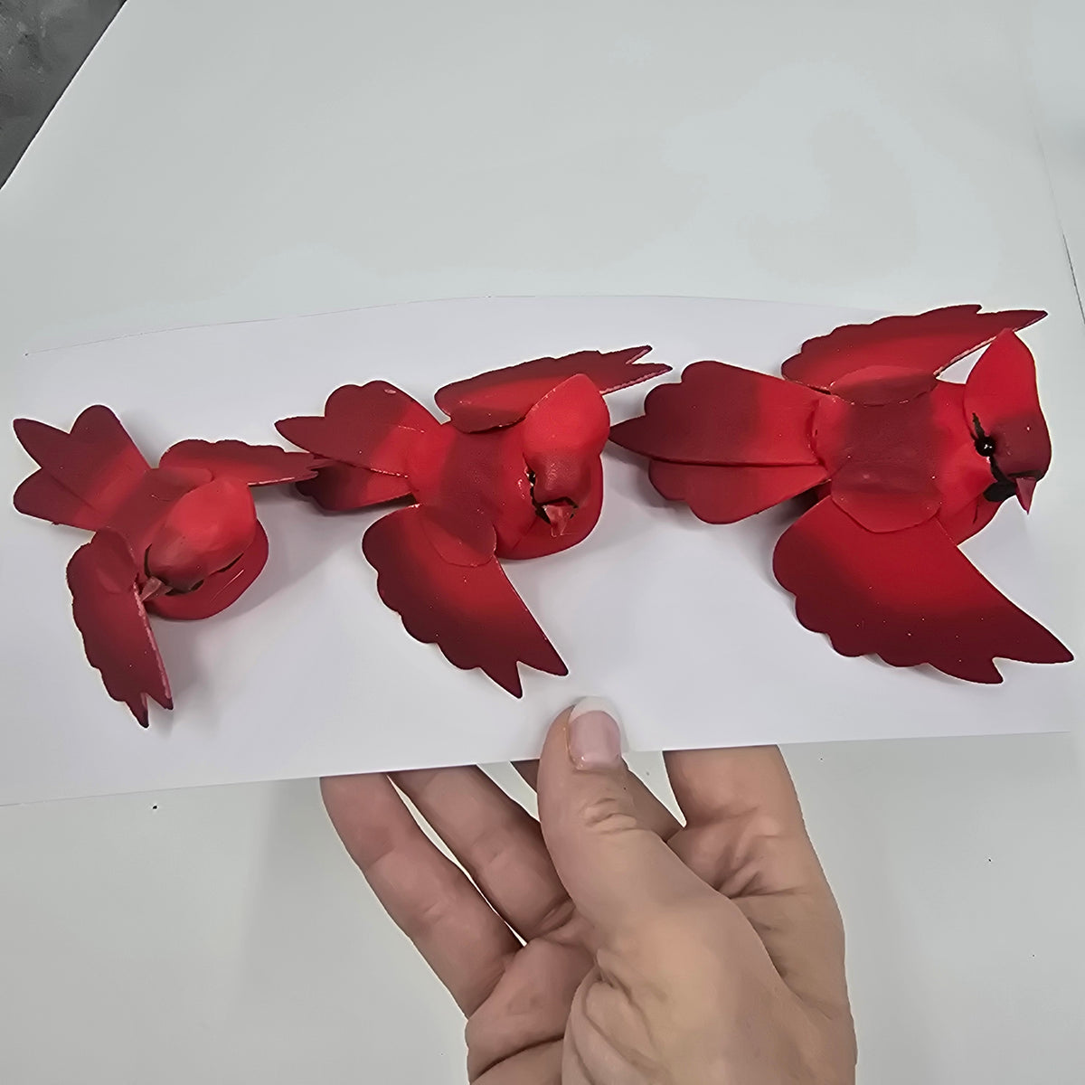 Cardinal/clip-#bxc309