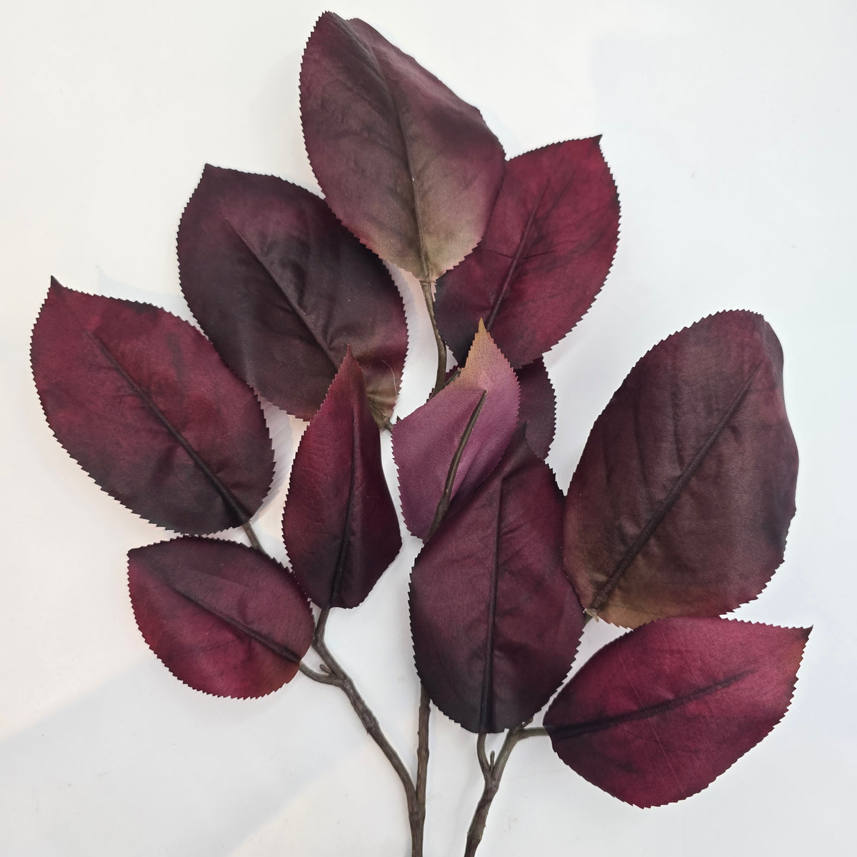 Mulberry Lf Spry  27&quot;  --#psm009