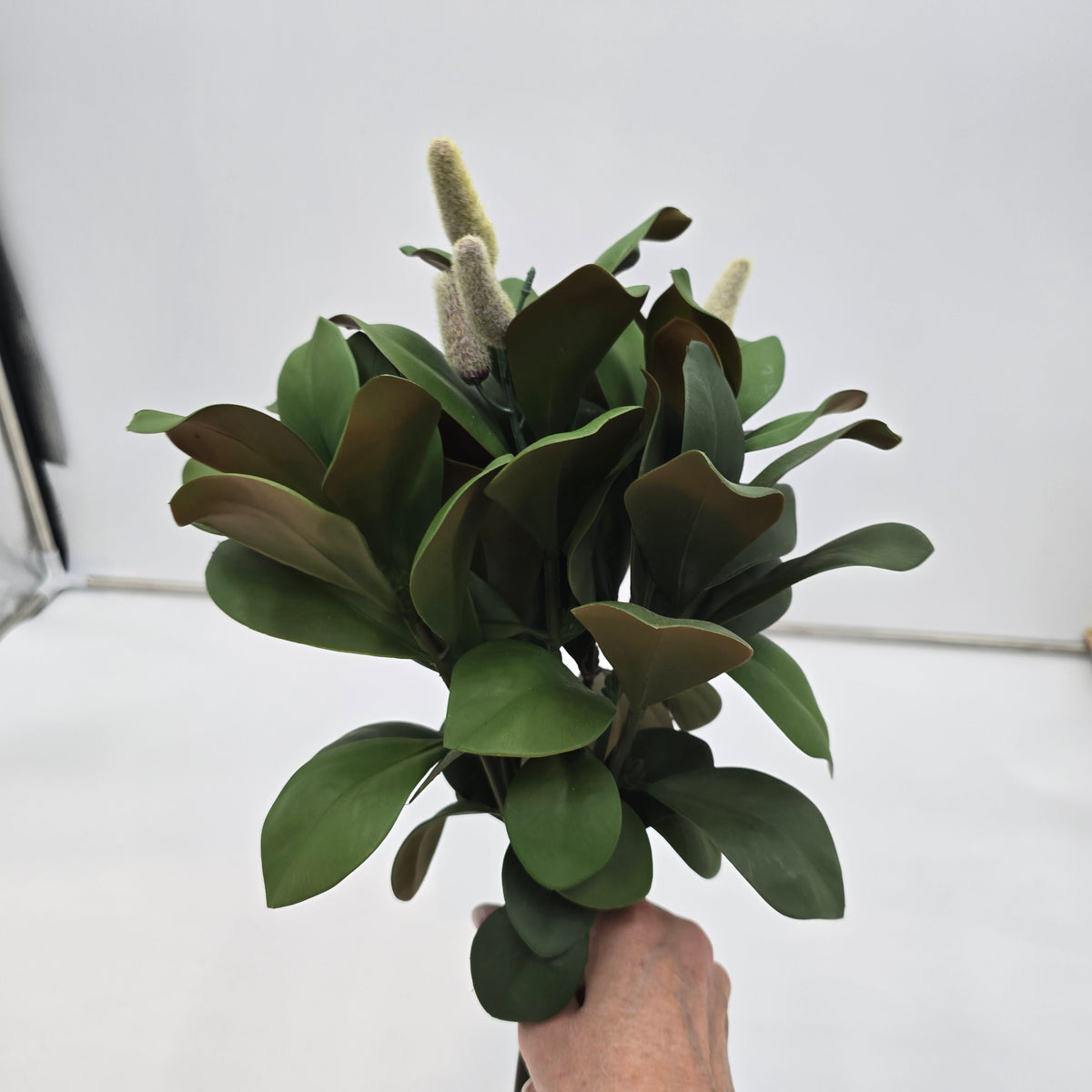 Magnolia Leaf Bundle