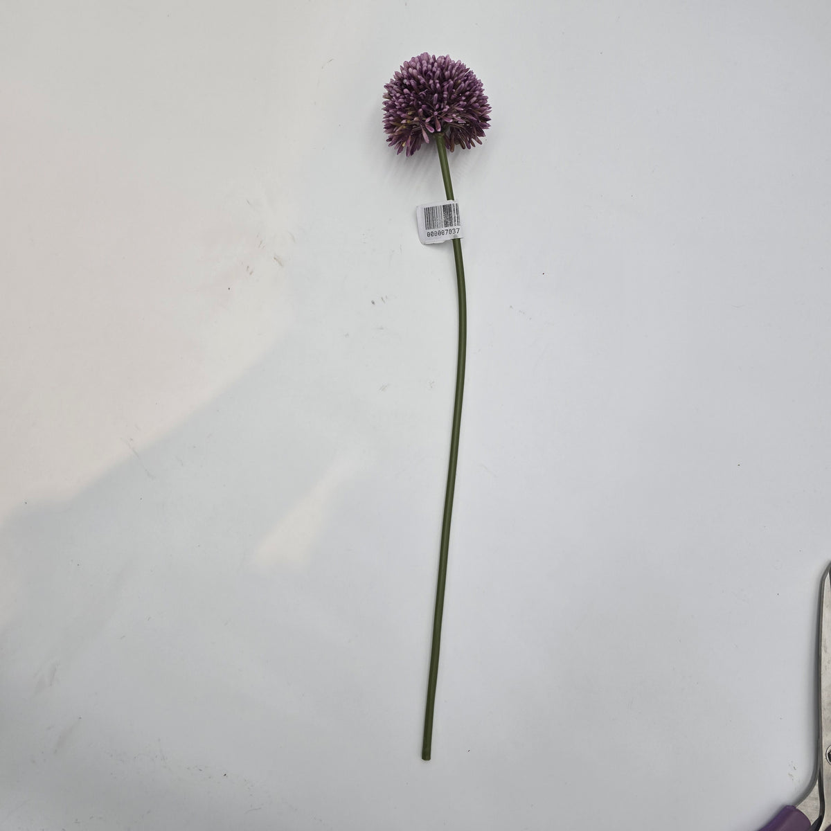 17.5&quot;ALLIUM--fsa141-cr/gr
