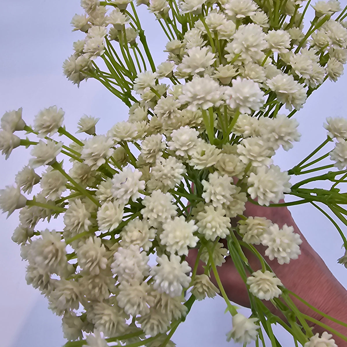 Baby&#39;s Breath Bush--#fbg483