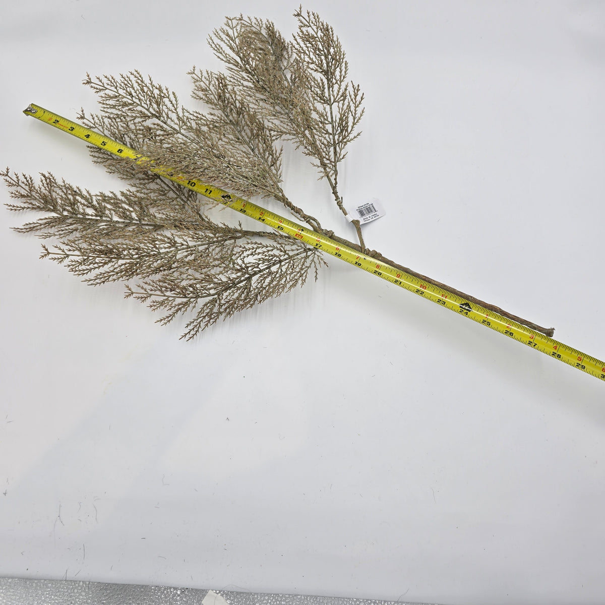 29&quot; Cedar Spray--#psc546