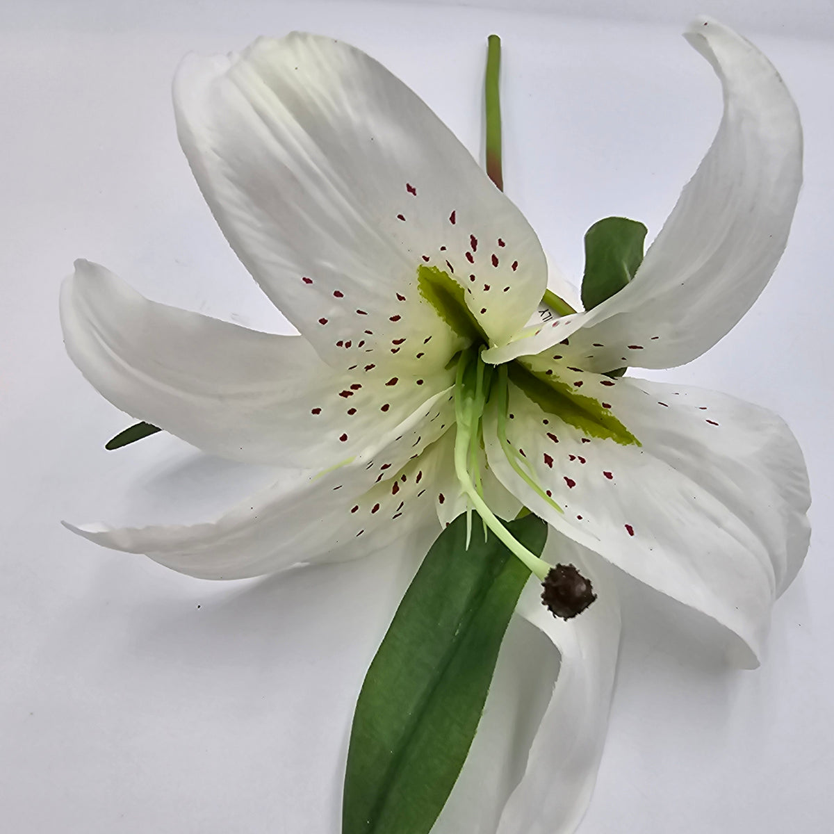 15&quot; Lily--#fsl377