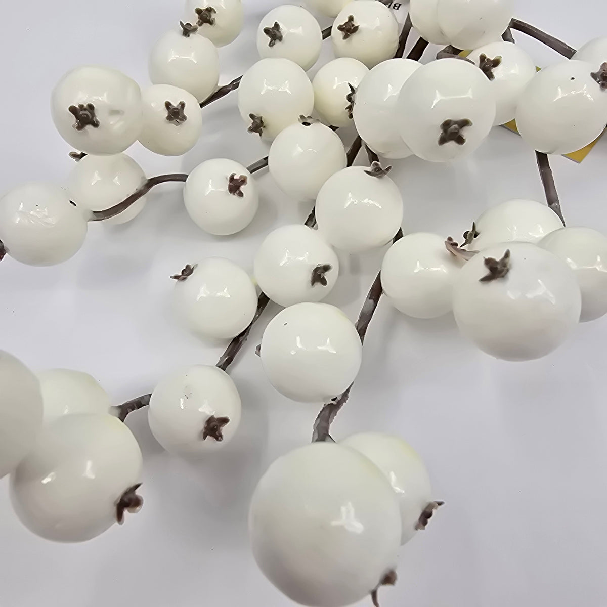 12&quot; WP Crabapple CREAM  #214348