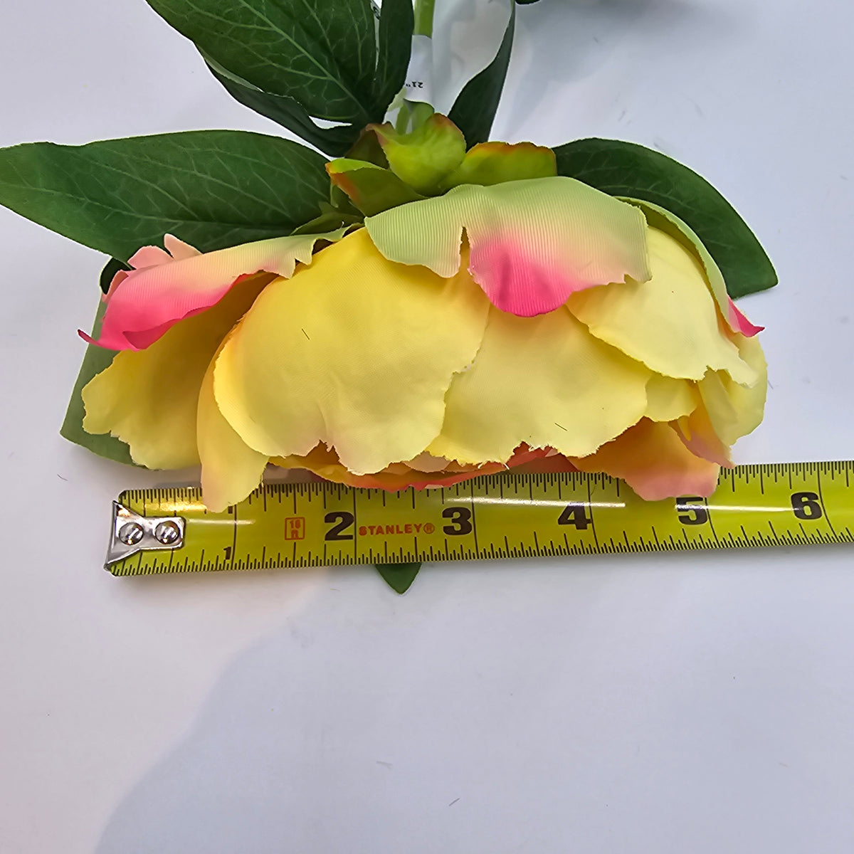 21&quot;PEONY--hsp671
