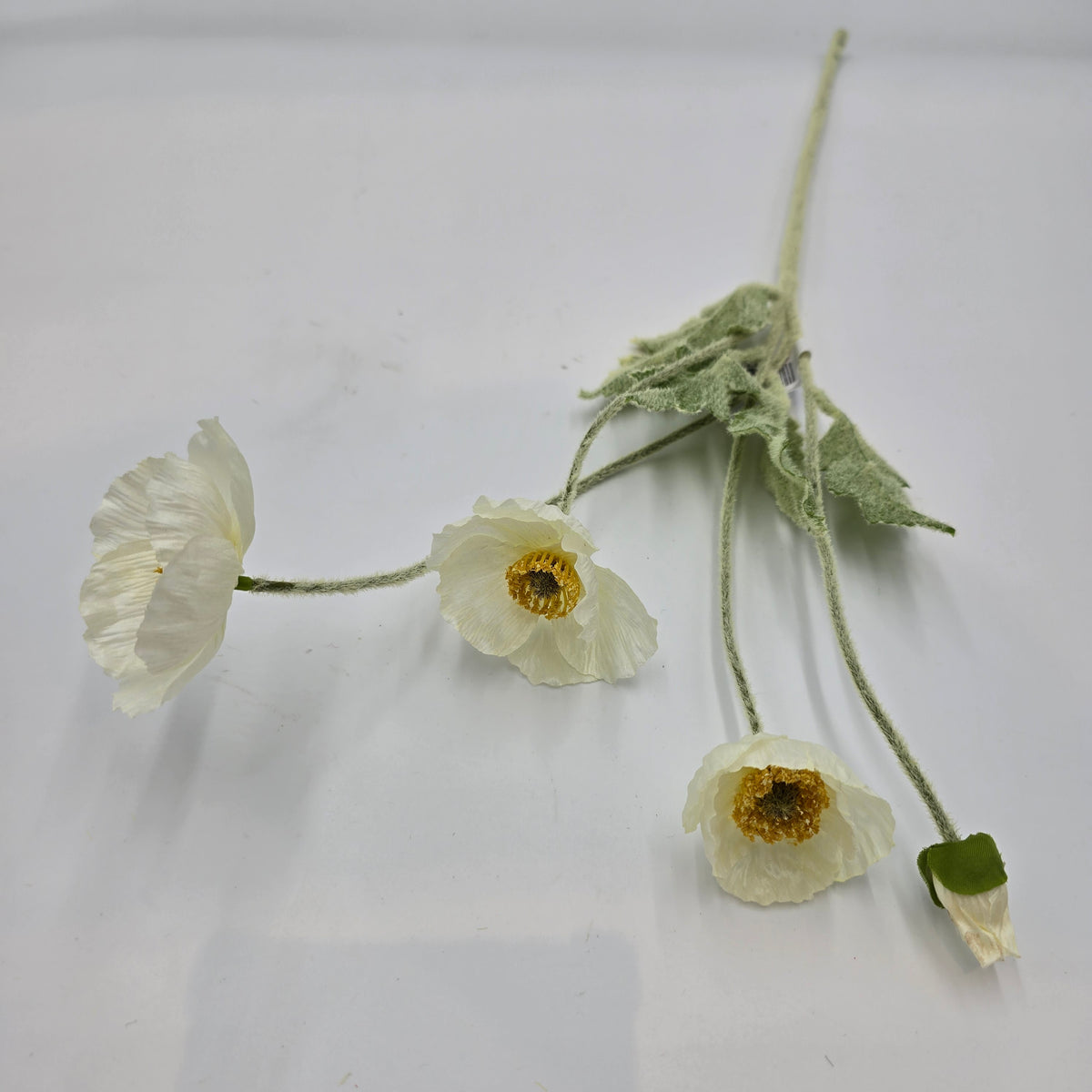 23.6&quot;POPPY--#fsp304-fl