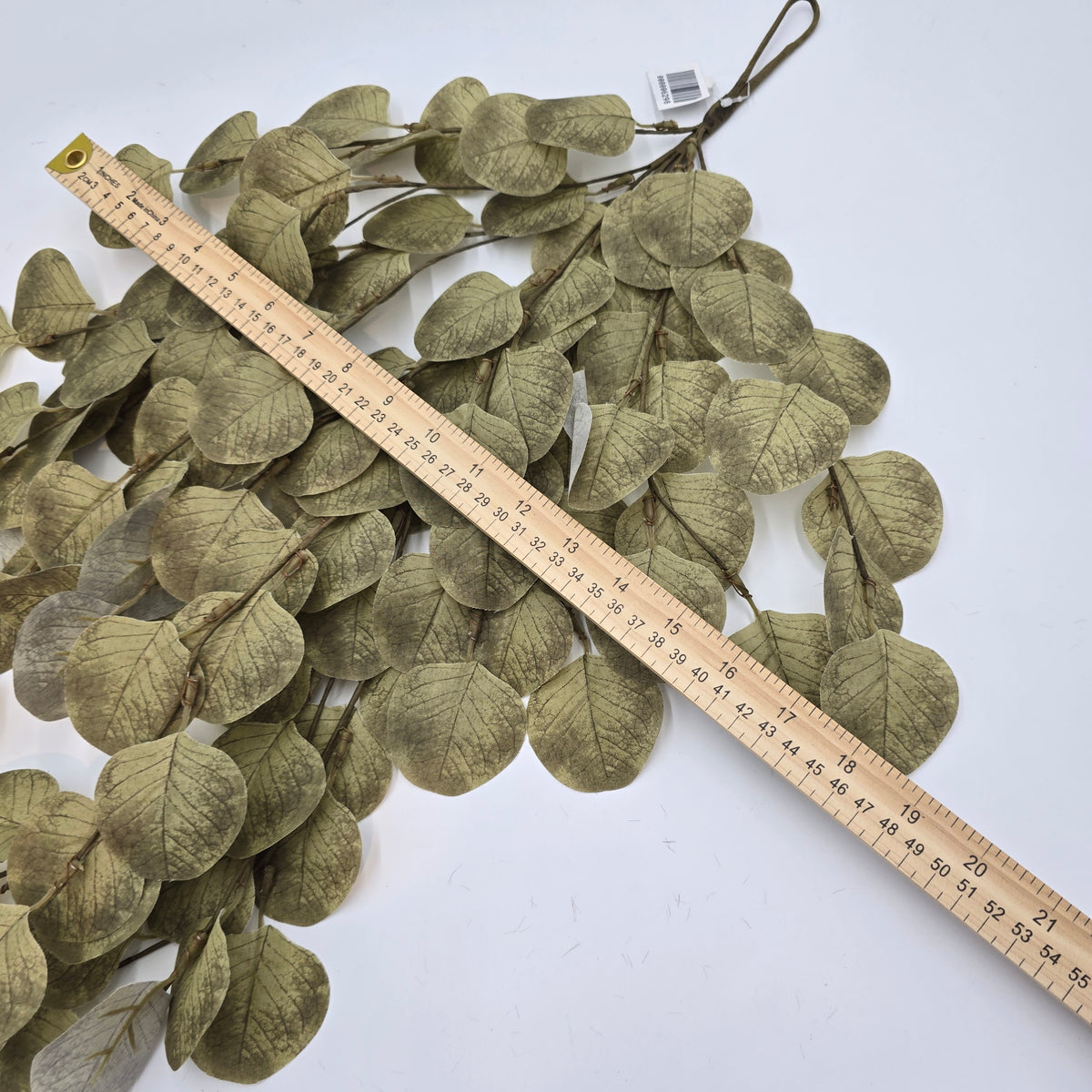 Eucalyptus Swag-31&quot; #pae502