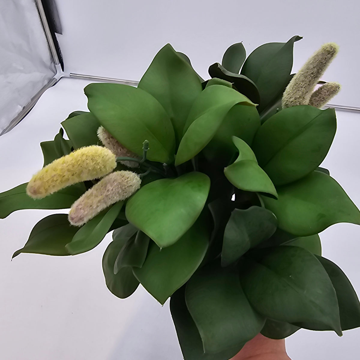 Magnolia Leaf Bundle