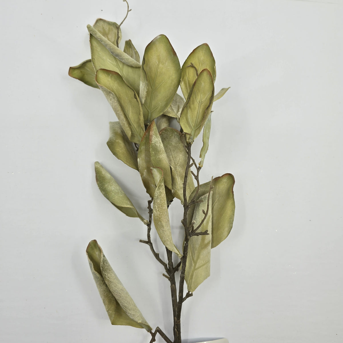 29.5&quot; Protea Leaf Spray--#psp713