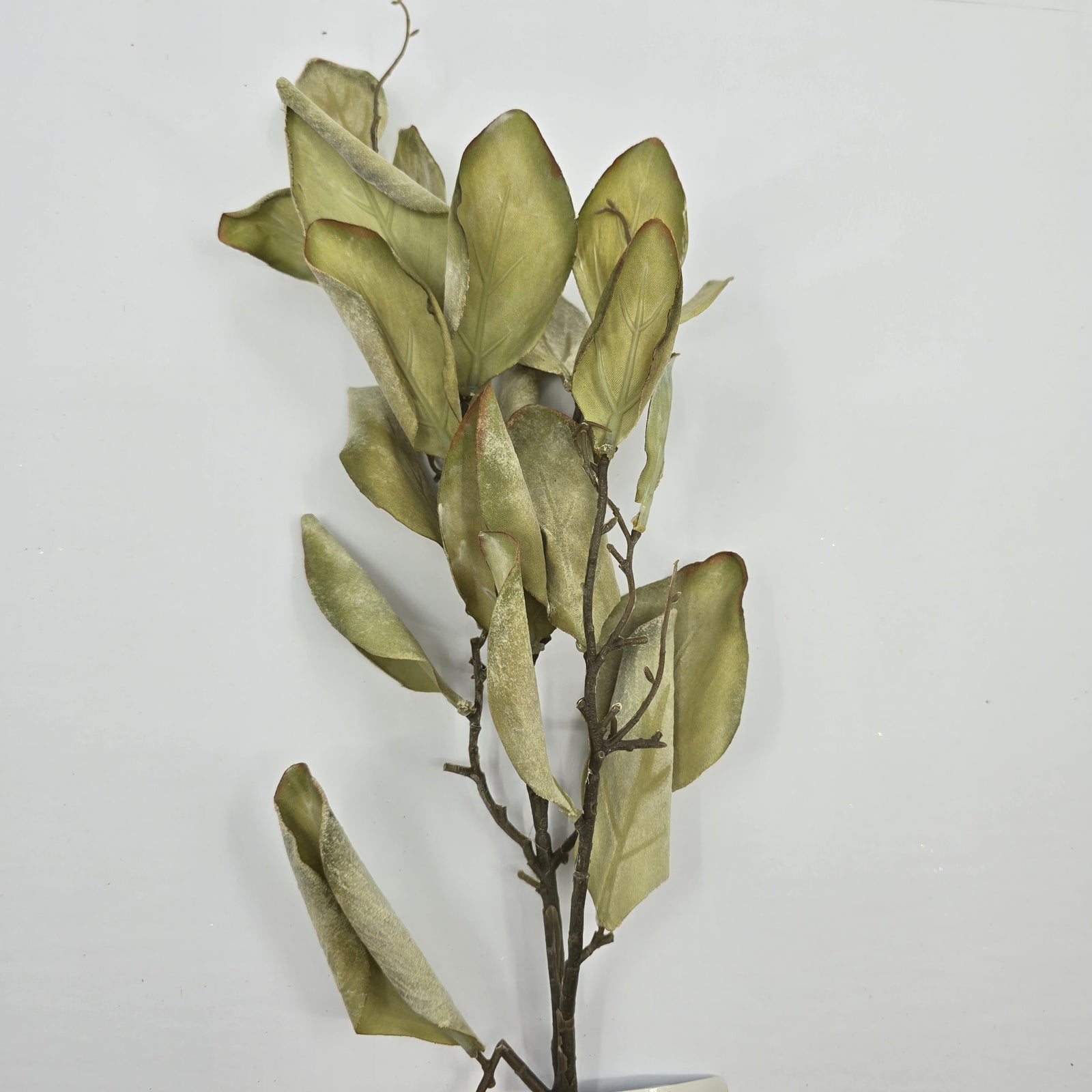 29.5" Protea Leaf Spray--#psp713